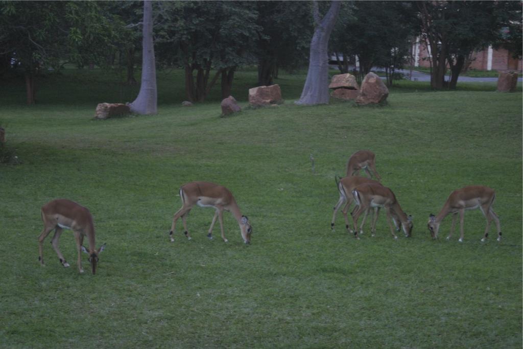 M'Kango Golfview Hotel Лусака Екстер'єр фото